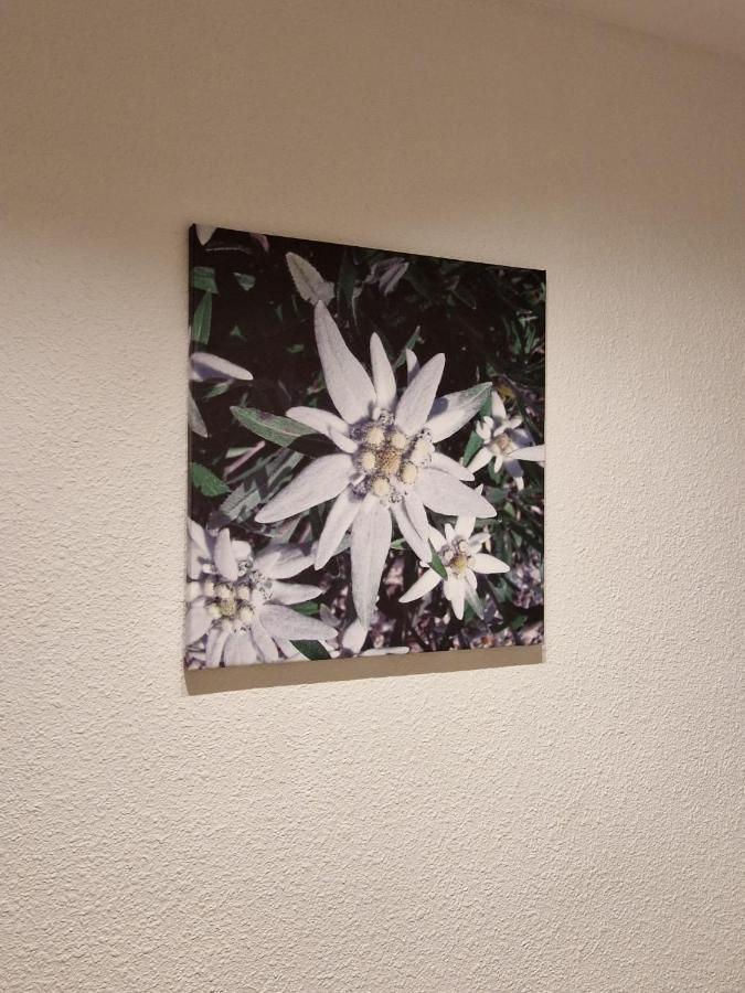 Flor De Nieve Apartment Хака Екстериор снимка